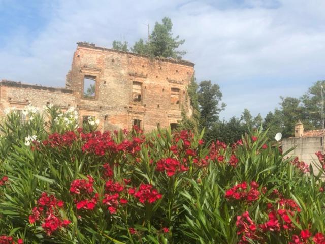 Bed and Breakfast Antico Borgo Di Liteggio Cologno al Serio Zewnętrze zdjęcie